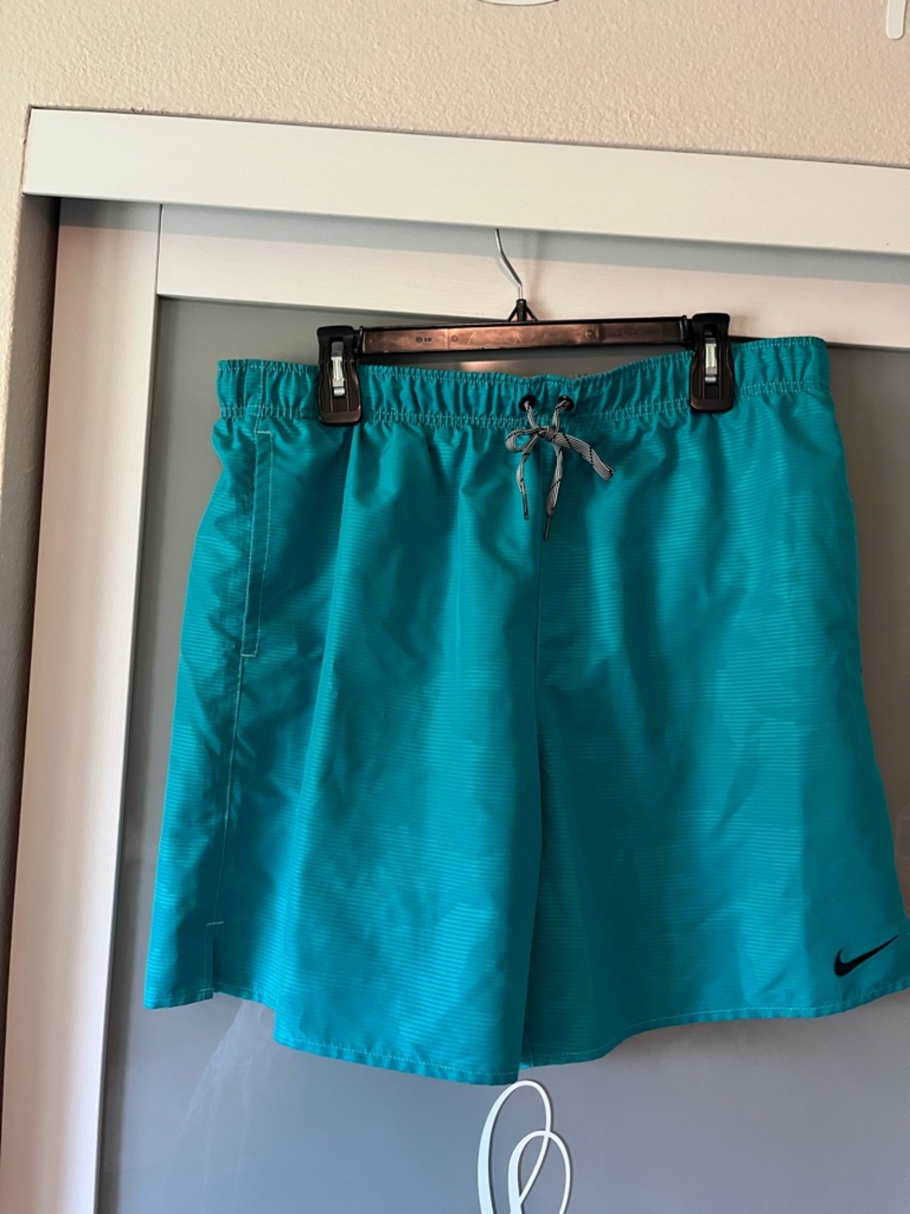 Nike Teal Swim/Active Shorts